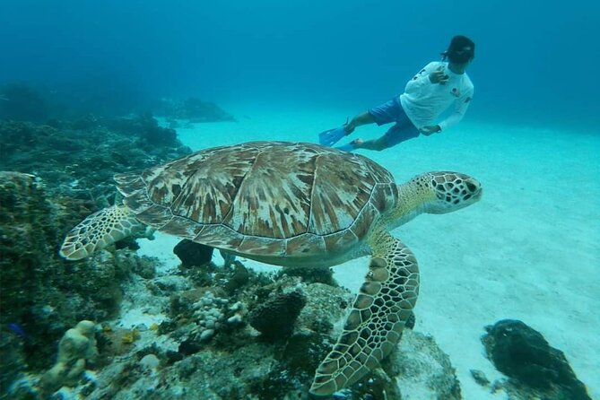 Starfish, Stingrays and the Turtle Sanctuary Snorkel Tour - What to pack for four hours on the water