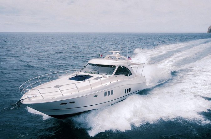 Steel Aweigh 65ft Sea Ray Yacht Rental - Whale watching and marine life near Cabo