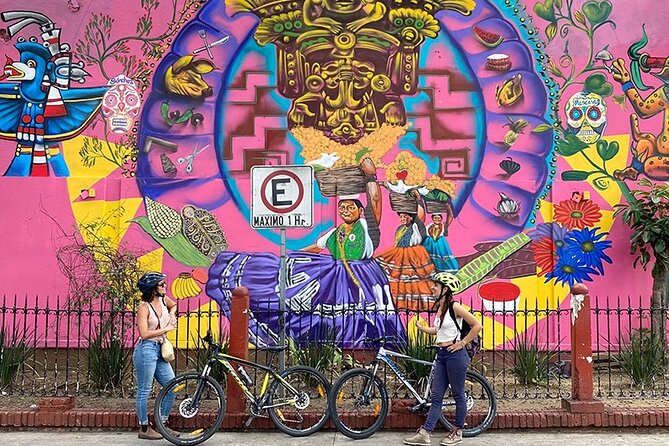 Street Art Bike Ride - Reading the murals, stencils, and posters