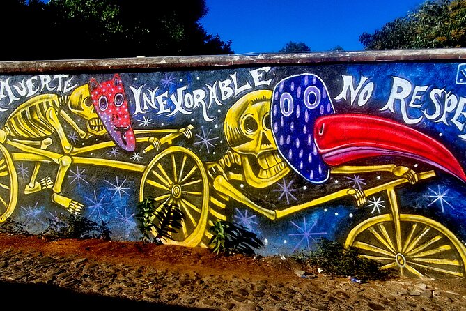Street Art Tour With An Artist in Oaxaca - Ending at a gallery and art workshop