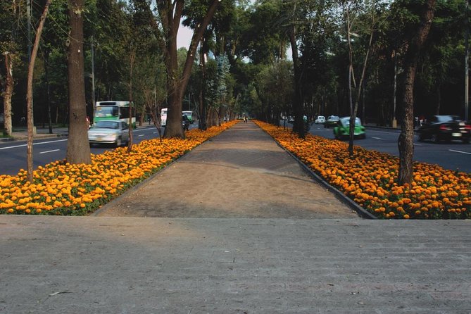 Street Food Tour with Friends - Condesa: parks, architecture, and neighborhood character