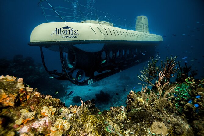 Submarine Atlantis Cozumel Adventure by Day & Sunset - Timing, cruise schedules, and weather risks