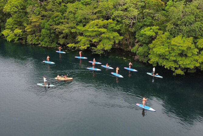 Sunrise by Paddle or Kayak with Floating Picnic - Is $29.80 a good price?
