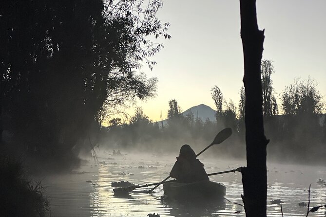 Sunrise Kayak Tour in Xochimilco - Group Size and Overall Pace