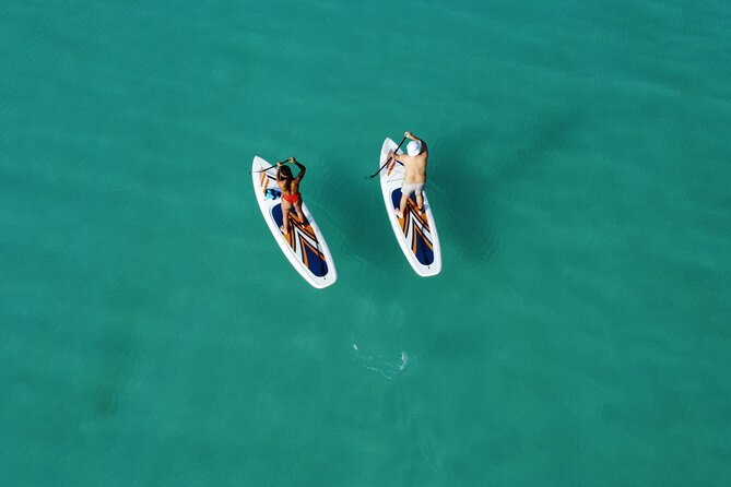 Sunrise on Paddleboard with breakfast in the lagoon of 7 colors - Bird Island adds a wildlife stop