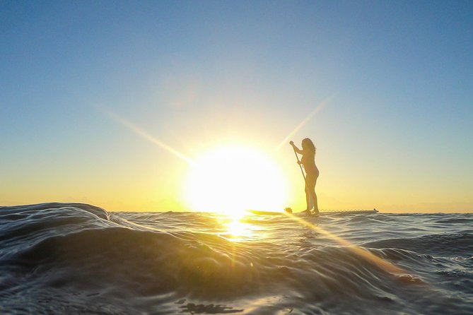 Sunrise Session - The #1 Paddleboard Tour On The Caribbean Sea - Booking, weather, and the early alarm