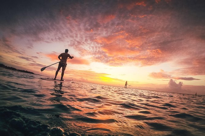 Sunrise Session - The #1 Paddleboard Tour On The Caribbean Sea - Paddling into the Caribbean morning