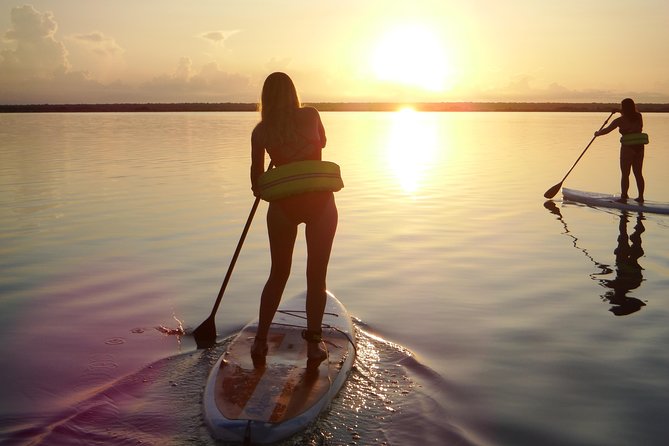 Sunrise Tour (Stand Up Paddle or Kayak) - Cenote Negro and the changing colors