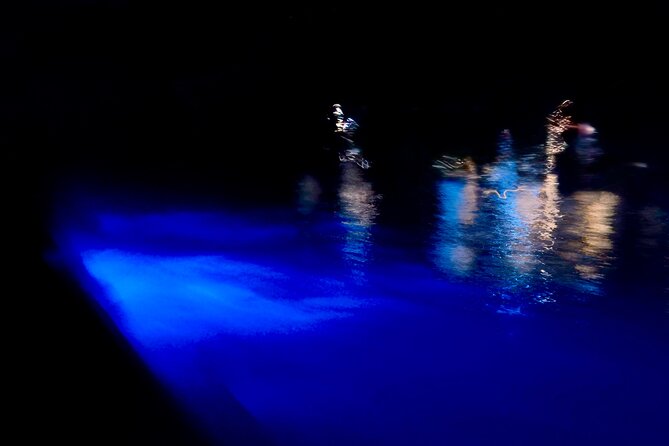 Sunset and Bioluminescence Boat Tour at Los Arcos Islands - Snorkeling in the dark with glowing plankton