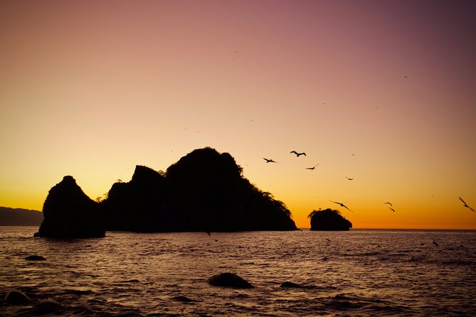 Sunset and Bioluminescence Boat Tour at Los Arcos Islands - Boat comfort, beach boarding, and safety