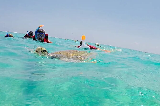 Swim with akumal turtles - Gear, lockers, and the practical setup