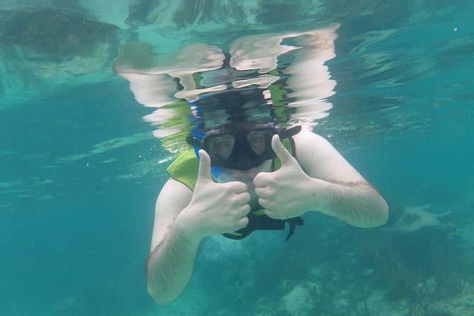 Swim with sea turtles - Is $45 a fair price?