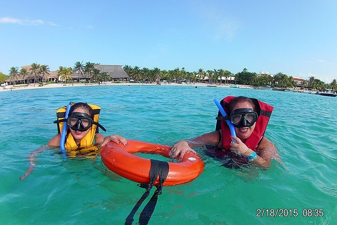 Swim with sea turtles - Booking, meeting, and cancellation details