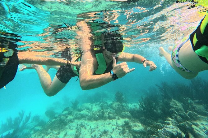 Swim with Turtles in Akumal + GoPro Photo Session - Why Akumal turtles are the main event