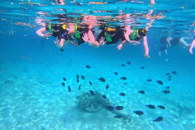 Swim with Turtles in Akumal + GoPro Photo Session - GoPro pictures without the camera hassle