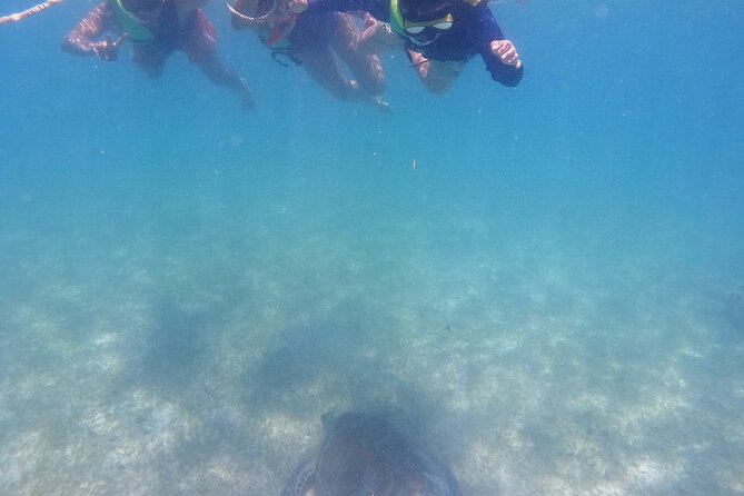 Swim with Turtles in Akumal + GoPro Photo Session - Facilities and the extra time at Akumal