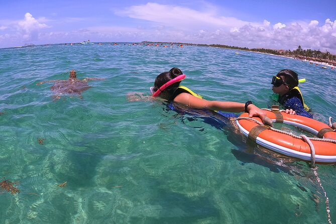 Swim with Turtles in Akumal + GoPro Photo Session - Turtles, rays, fish, and underwater surprises