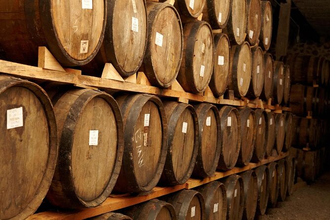 Tequila Day Trip from Guadalajara with Jose Cuervo Express Train - Key points to know before booking
