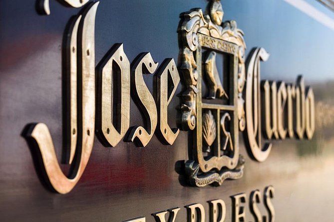 Tequila Day Trip from Guadalajara with Jose Cuervo Express Train - Agave fields and the jima demonstration