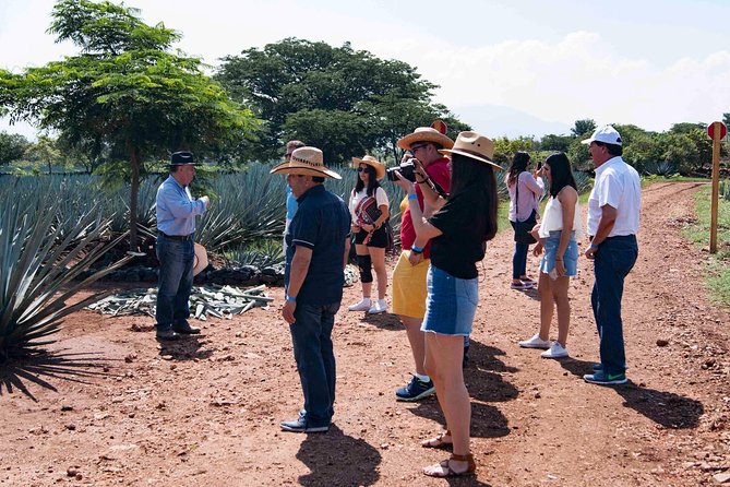 Tequila distillery experience, Jose Cuervo & Tequila Magic Town - Practical details that make the day easier