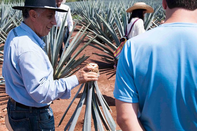 Tequila distillery experience, Jose Cuervo & Tequila Magic Town - Who should book this Tequila day trip?