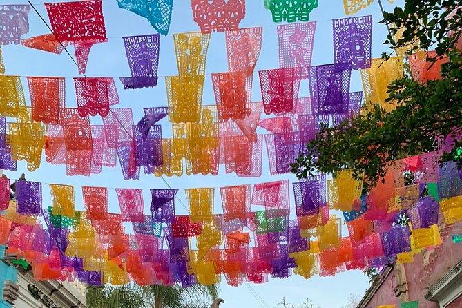 Tequila Premium Tour Destination Agave - El Pedregal adds agave fields and open-air fun
