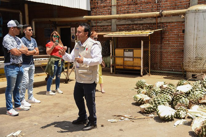 Tequila Route Experience from Guadalajara - The mural adds a cultural layer