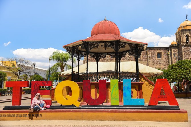 Tequila Route Experience from Guadalajara - The artisan distillery explains the drink