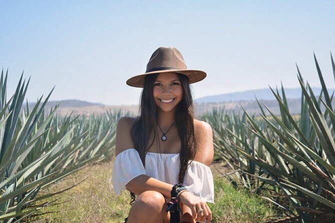 The Agave Experience Tequila Tour in Jalisco - Cava de Oro explains tequila from agave to bottle
