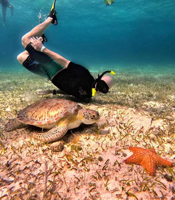 The Cozumel Turtle Sanctuary Snorkel Tour - FAQ