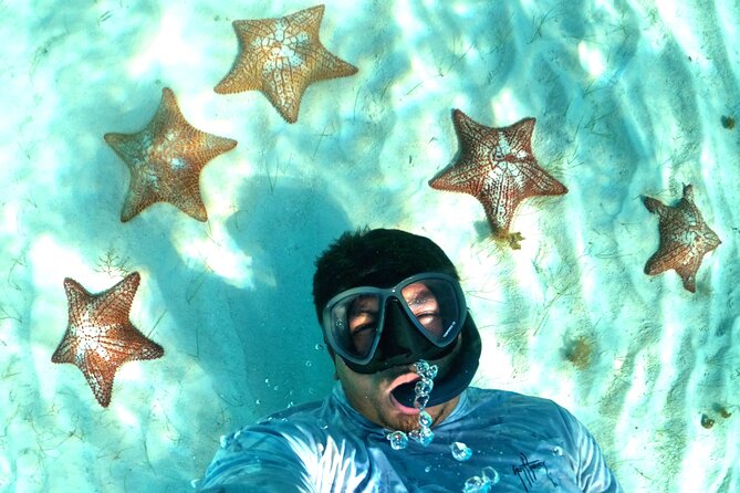 The Cozumel Turtle Sanctuary Snorkel Tour - Stop Two: The Turtle Habitat