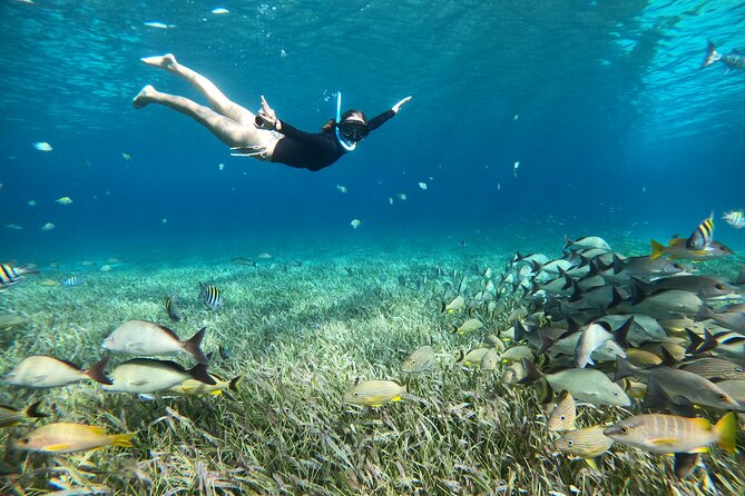 The Cozumel Turtle Sanctuary Snorkel Tour - Stop Four: Cielito, Snacks, and Stingrays