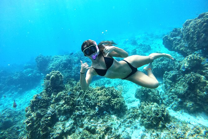The Cozumel Turtle Sanctuary Snorkel Tour - Price, Extra Costs, and Overall Value