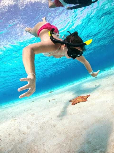 The Cozumel Turtle Sanctuary Snorkel Tour - Should you book the Cozumel Turtle Sanctuary Snorkel Tour?