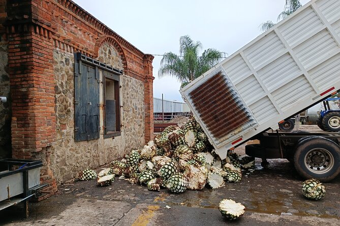 The Fire TOUR - Pyramids, Volcanoes, Agaves & Tequila - Inside Destilería La Alborada
