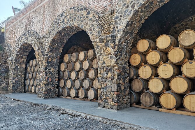 The Fire TOUR - Pyramids, Volcanoes, Agaves & Tequila - What to bring and how to prepare