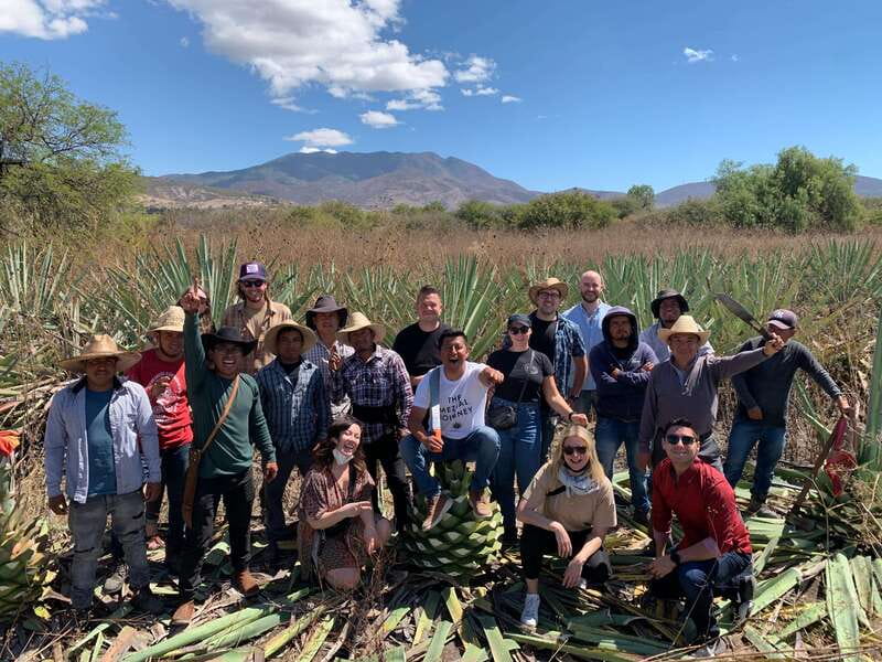 The Mezcal Journey - Should you book The Mezcal Journey?