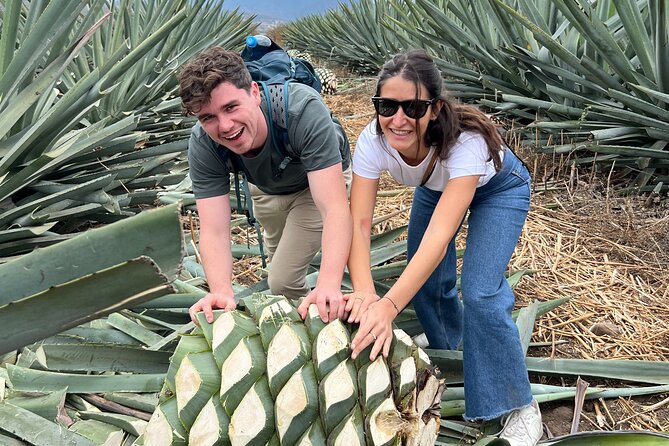 The Mezcal Journey - Lunch at Doña Chica