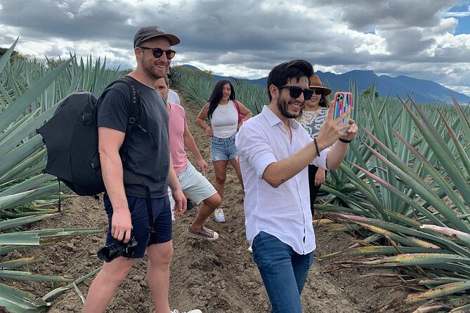 The Mezcal Journey - Timing, transport, and the $105 price
