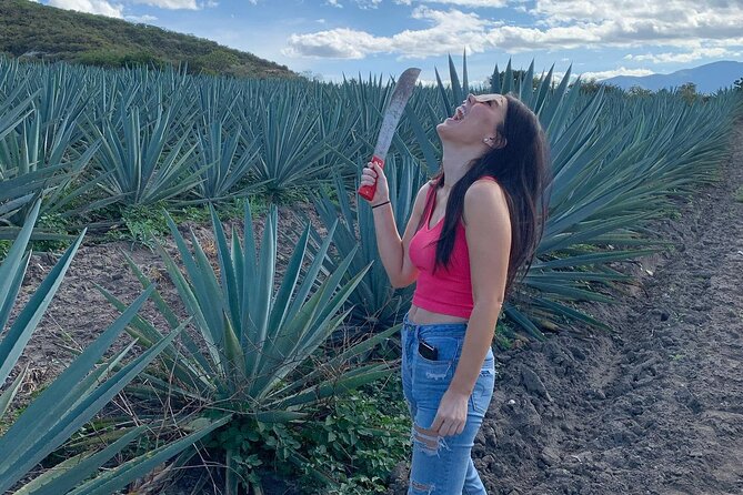 The Mezcal Journey - Who will enjoy this Oaxaca mezcal tour