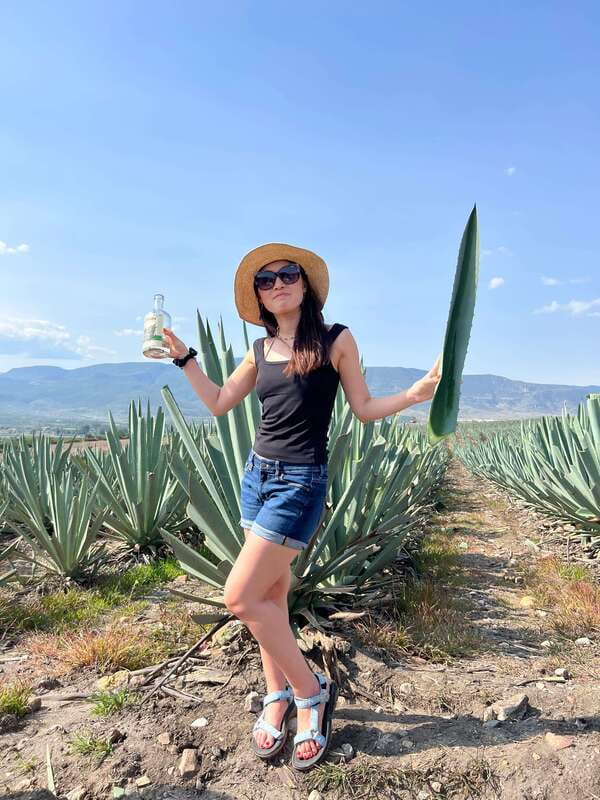 The Mezcal Journey - The main weakness: what exactly is included at the distillery?
