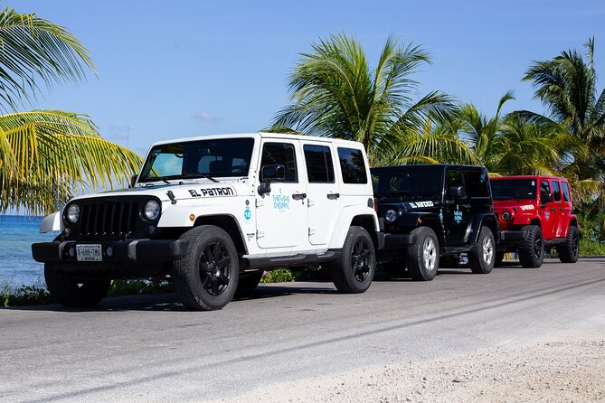 The Original Jeep Tour Revamped by Tortugas Cozumel® (Private) - Choosing Punta Sur’s lighthouse and wildlife