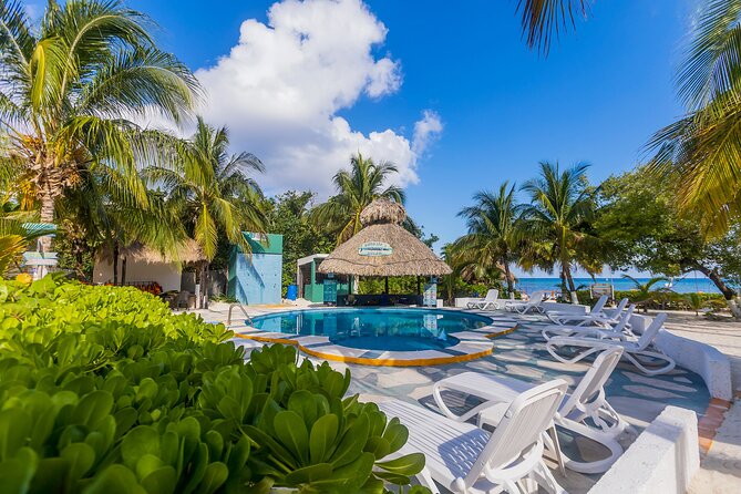 Tikinxic Barefoot Fish Guided Cookout Experience in Cozumel - The food and drink included for $106