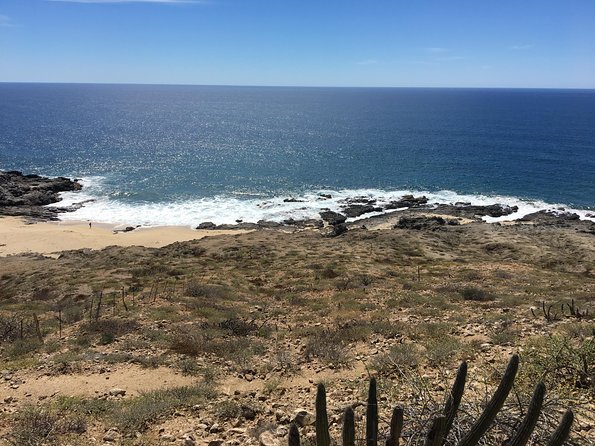 Todos Santos Day Trip from Cabo San Lucas - Teatro Márquez de León and the old town walk