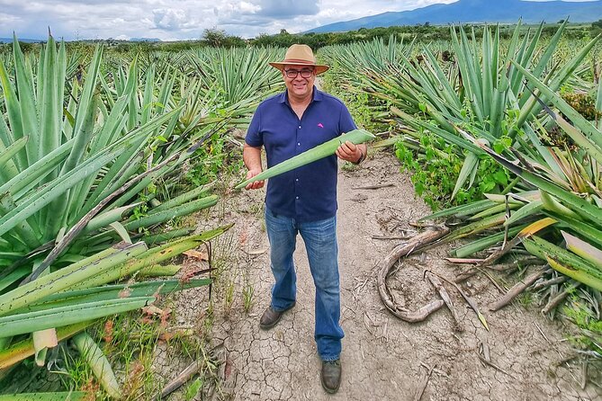 Tour Monte Albán, Hierve el agua, Teotitlán Del Valle and Mezcal - The best guides make the schedule work
