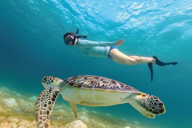 Tour to Tulum and cenote with swimming with turtles from Riviera Maya - Lunch in a forest setting