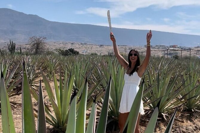 Tradicional Mezcal Experience in Oaxaca-Visit a Family Distillery - Inside the family palenque