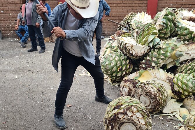 Tradicional Mezcal Experience in Oaxaca-Visit a Family Distillery - Who will enjoy this mezcal day