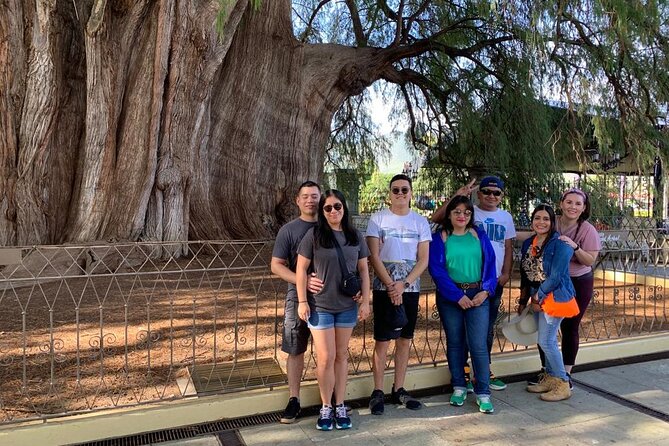 Tule, Mitla & Hierve el Agua Full-Day Tour with Certified Guide - Teotitlán explains the work behind Oaxacan textiles