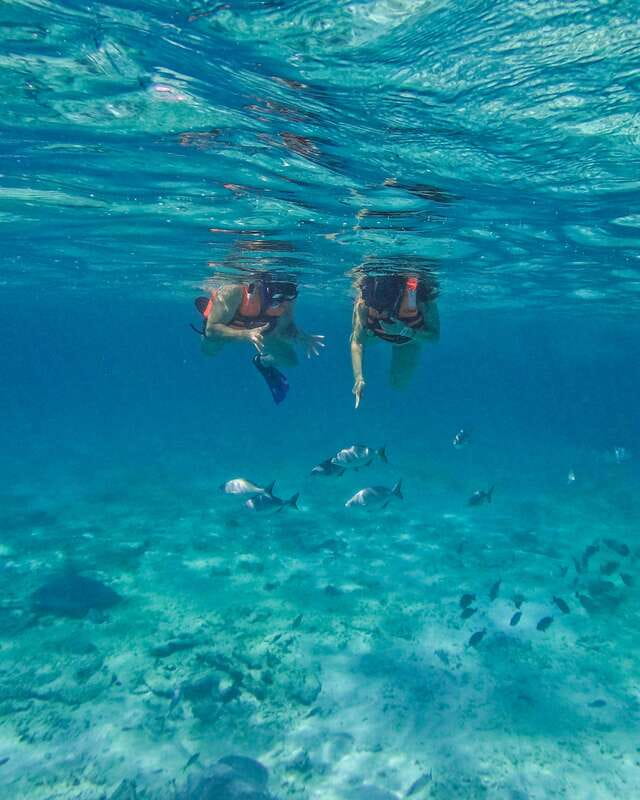 Tulum: 2-Hour Snorkeling in Two Spots of Tulum's Reef - Key points before you book